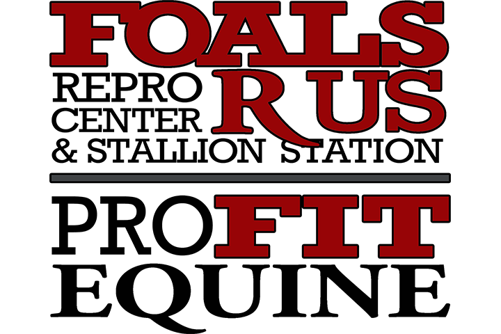 Foals R Us