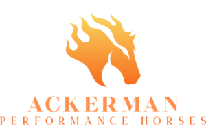 Ackerman Performance Horses