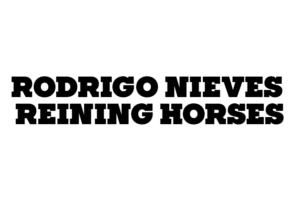 Rodrigo Nieves Reining Horses